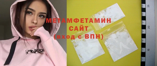 индика Богданович