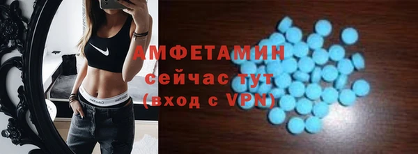 индика Богданович