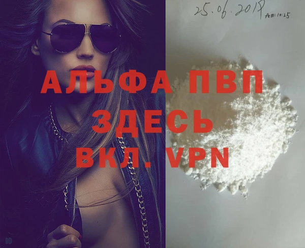 индика Богданович