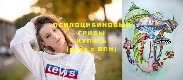 марки lsd Белокуриха