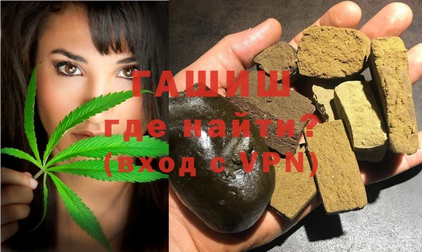 индика Богданович