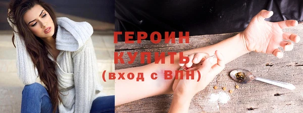 индика Богданович