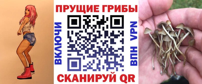 Галлюциногенные грибы мицелий  ссылка на мегу ССЫЛКА  Коркино 